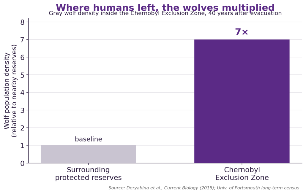 The Wolves of Chernobyl